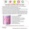 FINAL FINALLLLL A4 PRODUCT FLYERS_page-0004 Fit Solution Q10 Coenzyme